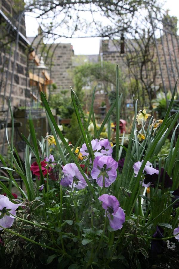 Alexandra Court Bed & Breakfast Harrogate Exterior photo